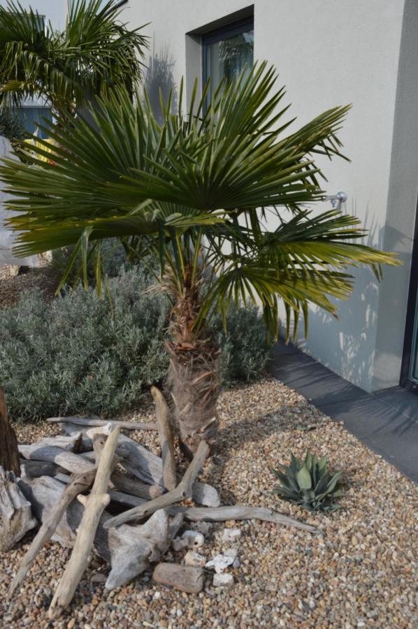 Palm Garden Apartment 1 ミクロフ エクステリア 写真