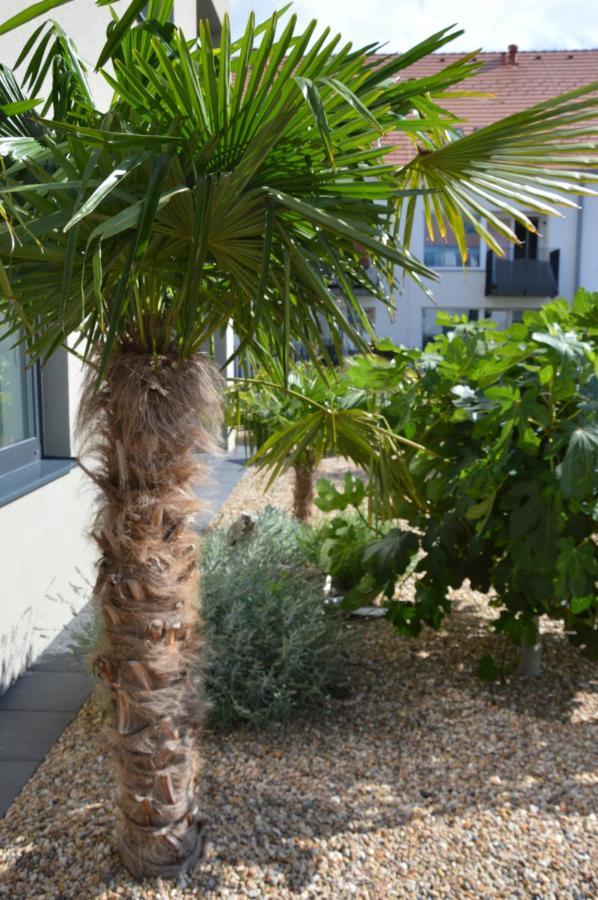 Palm Garden Apartment 1 ミクロフ エクステリア 写真
