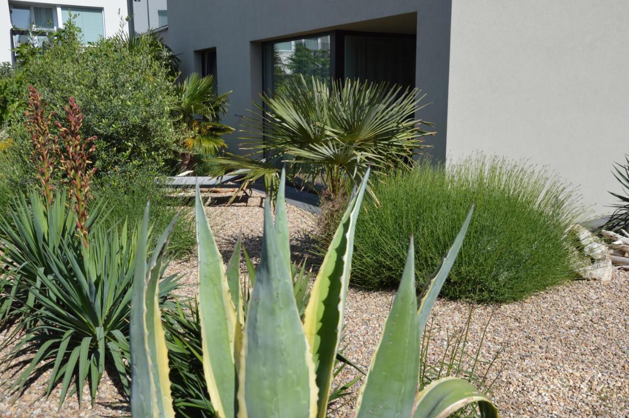 Palm Garden Apartment 1 ミクロフ エクステリア 写真